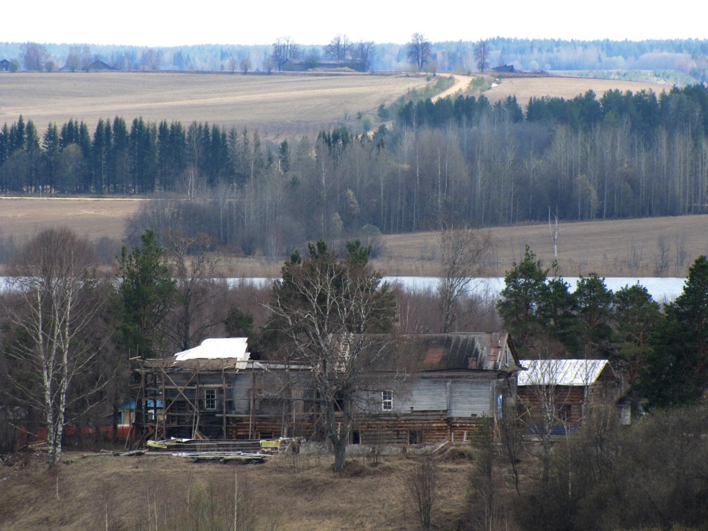 Ромашево (Ромашевский погост). Церковь Введения во храм Пресвятой Богородицы. общий вид в ландшафте