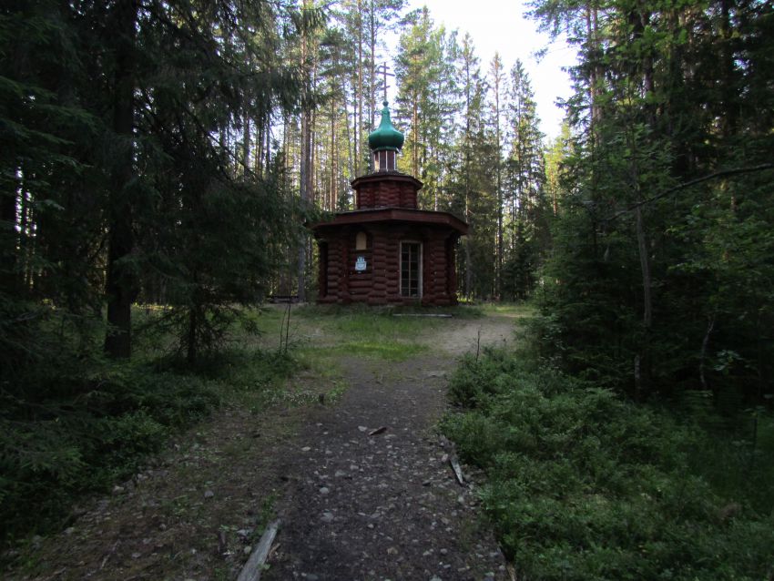 Часовня Серафима Саровского, Окуловка (Окуловский район, Новгородская область). общий вид в ландшафте
