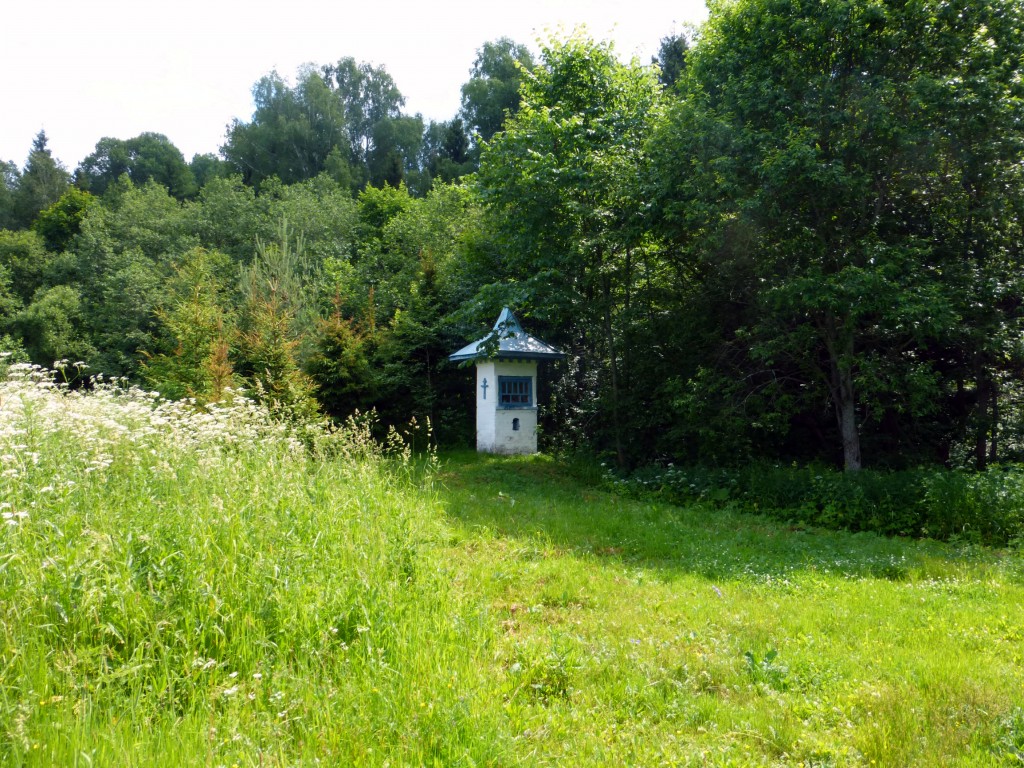 Неизвестная часовня, Ляпино (Сергиево-Посадский городской округ, Московская область). общий вид в ландшафте