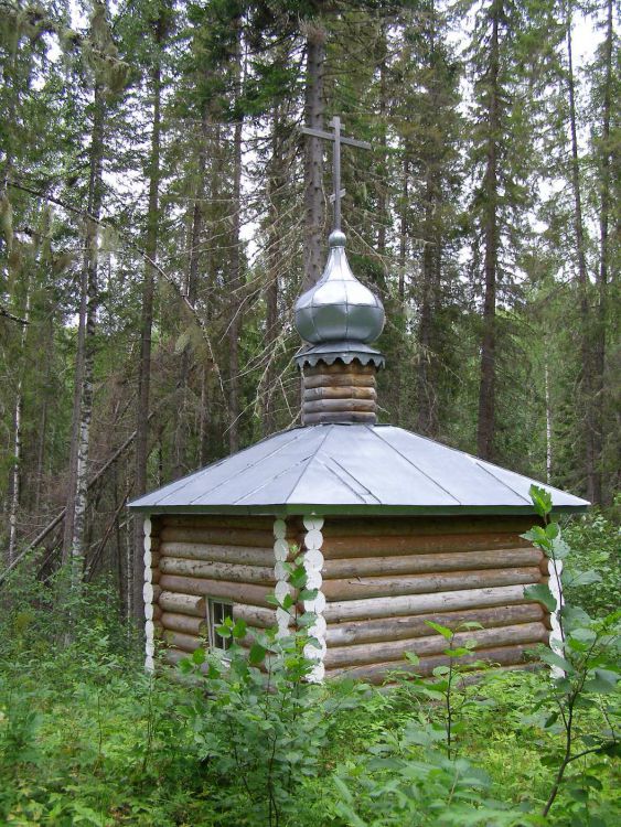 Олбово. Часовня Прокопия Устюжского. общий вид в ландшафте