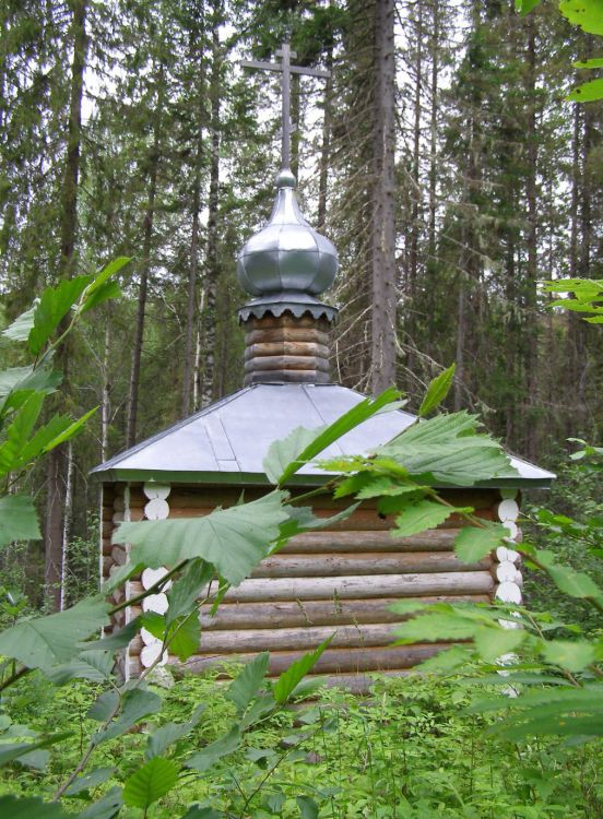 Олбово. Часовня Прокопия Устюжского. общий вид в ландшафте