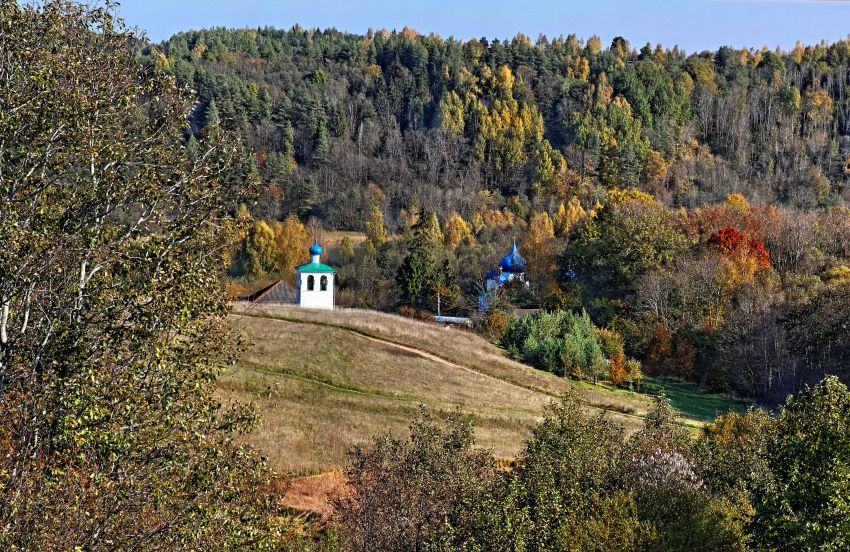 Мальской Рождественский монастырь, Малы (Печорский район, Псковская область). общий вид в ландшафте
