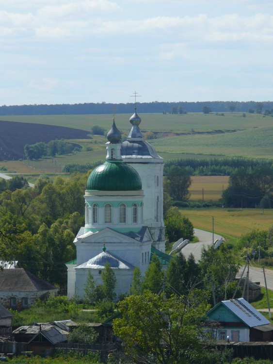Турминское. Церковь Троицы Живоначальной. общий вид в ландшафте