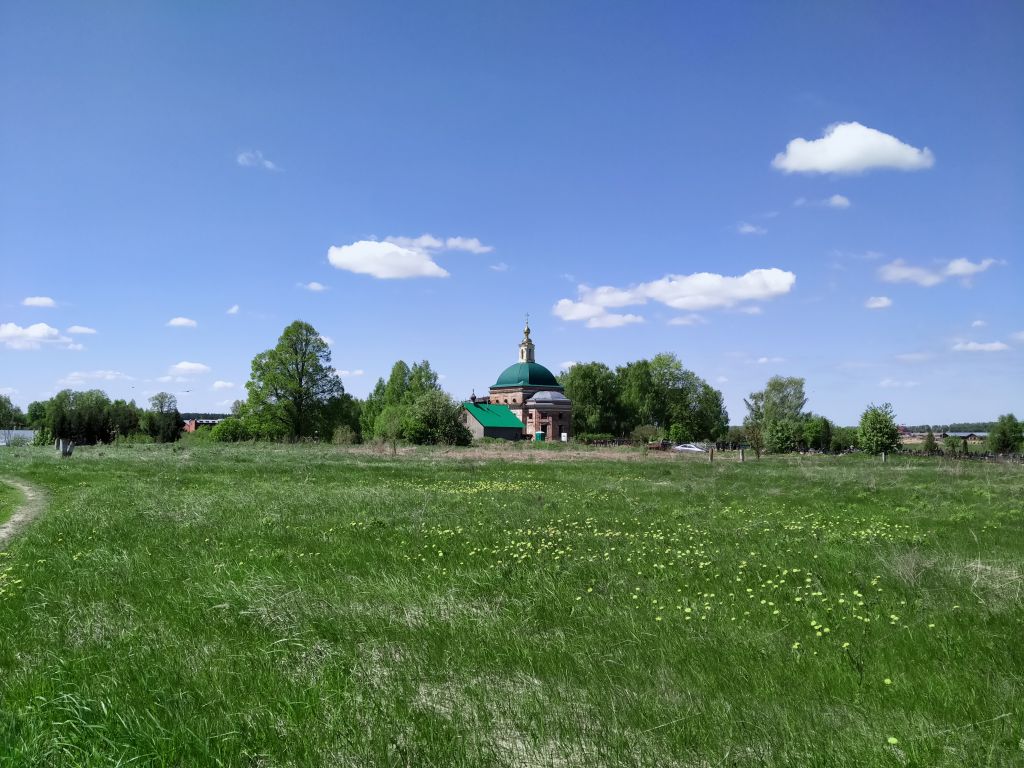 Троицкие Борки. Церковь Троицы Живоначальной. общий вид в ландшафте