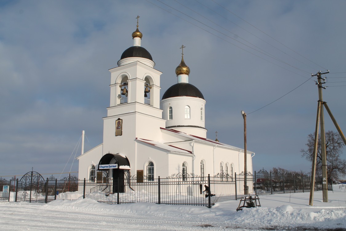 Церковь Казанской иконы Божией Матери, Трофимовка (Бессоновский район, Пензенская область). общий вид в ландшафте