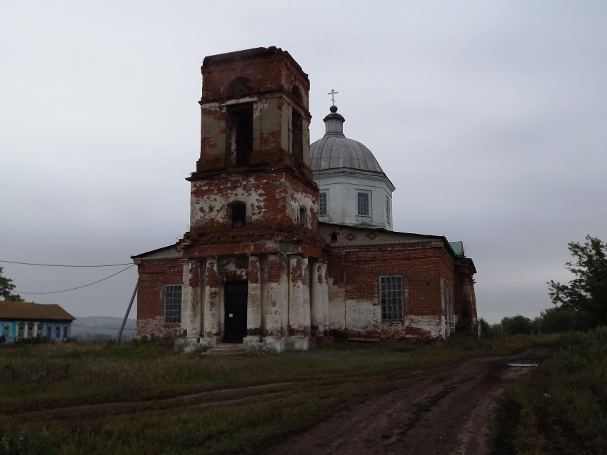 Церковь Рождества Христова, Оркино (Петровский район, Саратовская область). общий вид в ландшафте