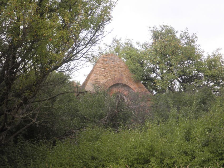 Часовня-усыпальница Воропоновых, Будки (Глушковский район, Курская область). общий вид в ландшафте