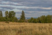 Часовня Казанской иконы Божией Матери, Вид с запада<br>, Ольково (Андомогорский погост), Вытегорский район, Вологодская область