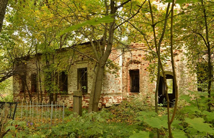 Церковь Покрова Пресвятой Богородицы, Давыдовское (Нерехтский район, Костромская область). архитектурные детали