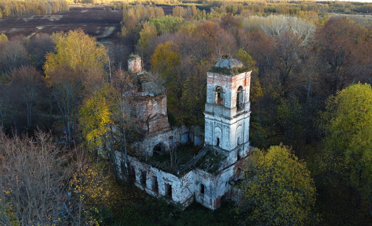 Церковь Покрова Пресвятой Богородицы, Давыдовское (Нерехтский район, Костромская область). общий вид в ландшафте