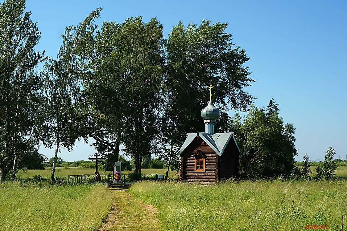 Часовня Илии Пророка, Большой Ужин (Старорусский район, Новгородская область). общий вид в ландшафте