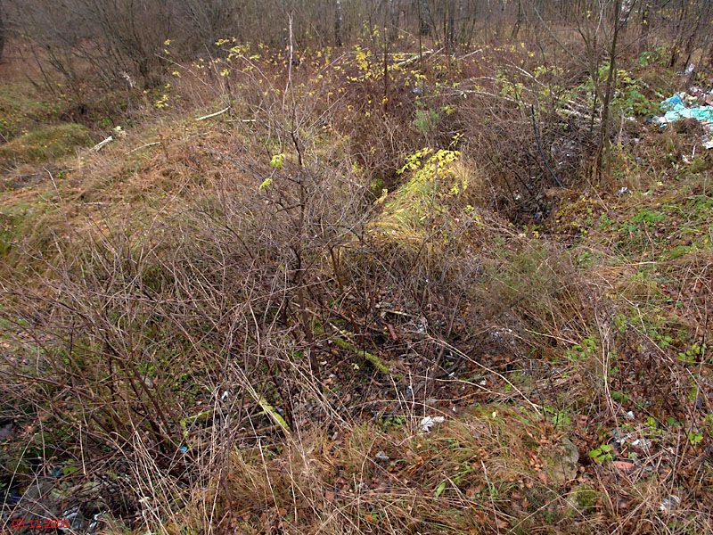 Коломно. Церковь Рождества Пресвятой Богородицы. фасады