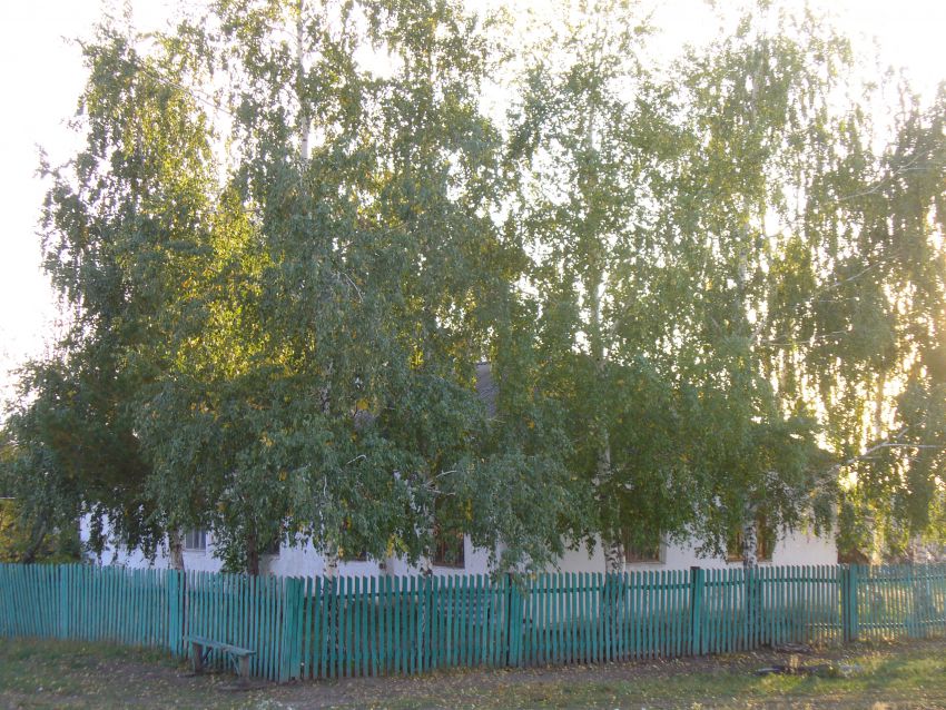 Молитвенный дом Рождества Христова, Борискино (Алькеевский район, Республика Татарстан). фасады