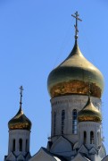 Церковь Троицы Живоначальной, Купола собора<br>, Приазовский, Темрюкский район, Краснодарский край