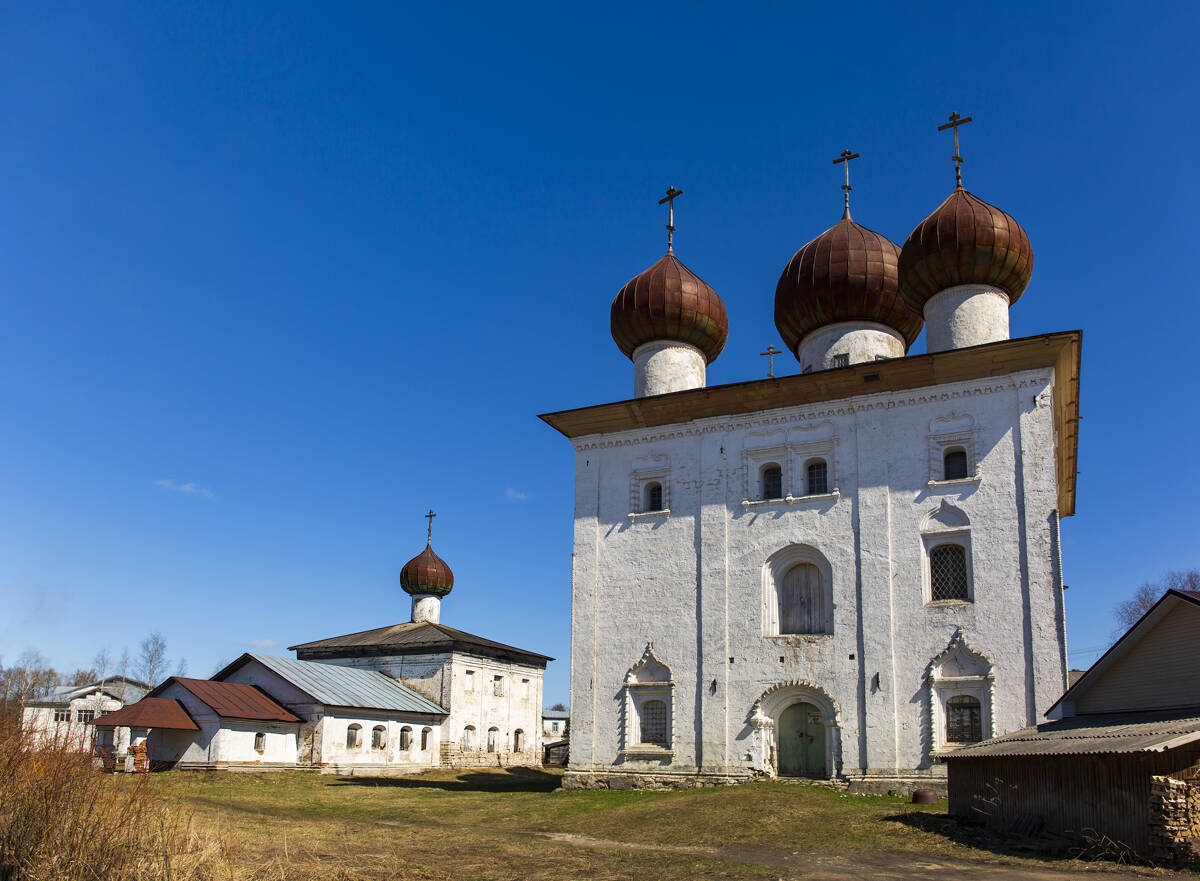 Храмовый комплекс Старого торга, Каргополь (Каргопольский район, Архангельская область). фасады