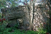 Часовня Николая Можайского, , Ямное, Спировский район, Тверская область