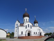 Собор Покрова Пресвятой Богородицы и Николая Чудотворца - Клайпеда - Клайпедский уезд - Литва