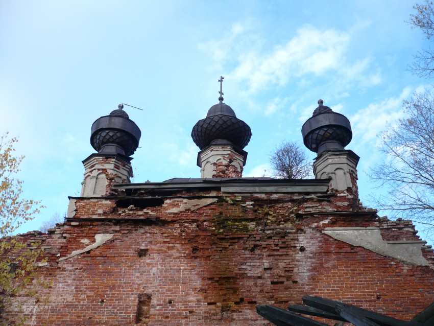 Климовское. Церковь Рождества Христова. архитектурные детали,  