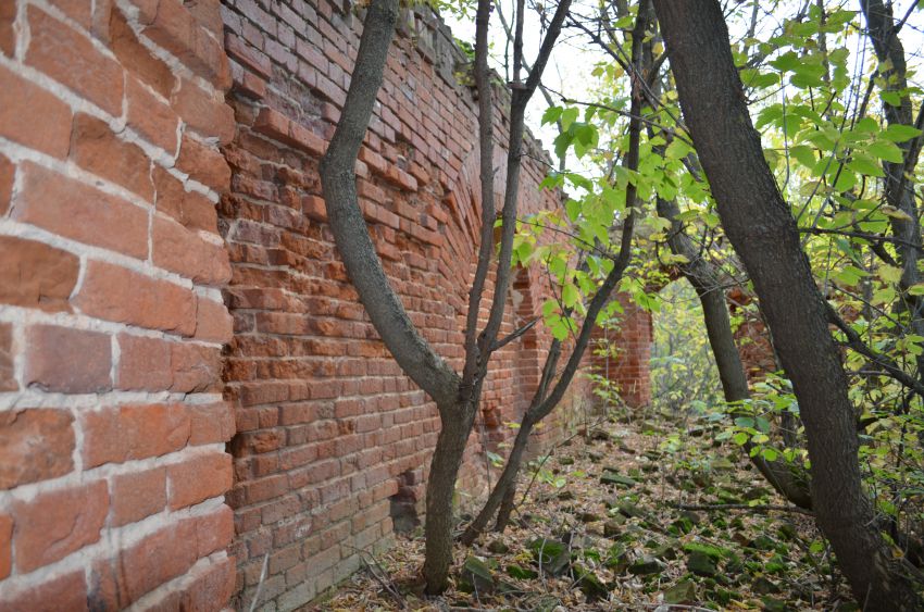 Церковь Троицы Живоначальной, Юсупово (Плавский район, Тульская область). архитектурные детали