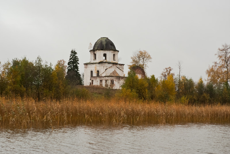 Борково. Церковь Троицы Живоначальной. общий вид в ландшафте