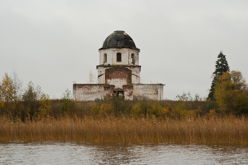 Борково. Церковь Троицы Живоначальной. общий вид в ландшафте