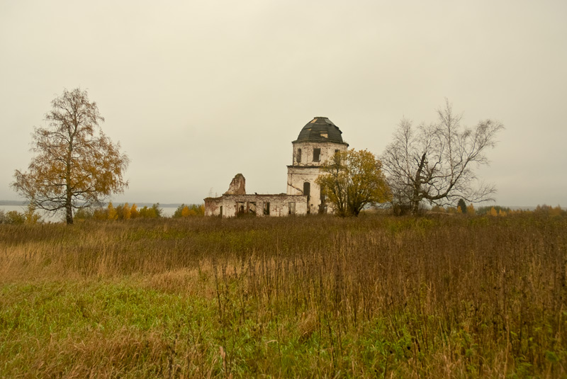 Церковь Троицы Живоначальной, Борково (Белозерский район, Вологодская область). общий вид в ландшафте