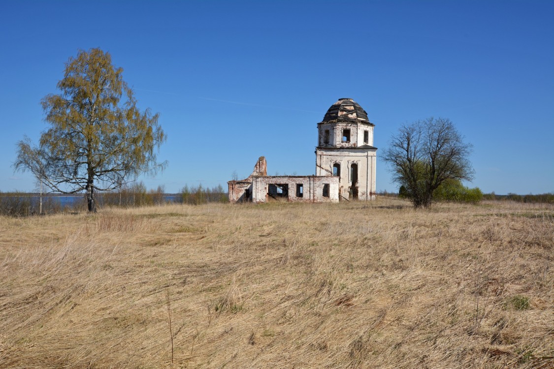 Церковь Троицы Живоначальной, Борково (Белозерский район, Вологодская область). общий вид в ландшафте, Общий вид с юга