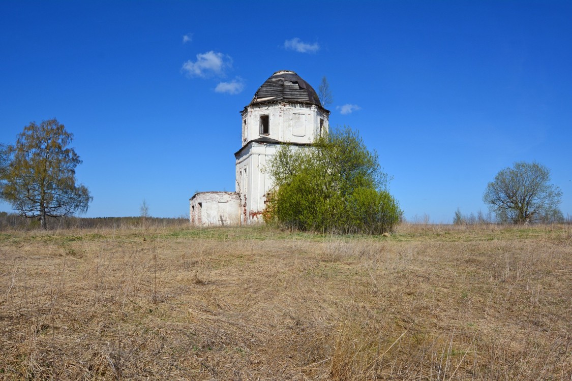 Церковь Троицы Живоначальной, Борково (Белозерский район, Вологодская область). фасады, Общий вид с востока