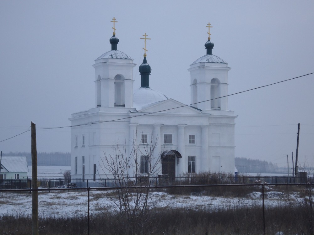 Церковь Казанской иконы Божией Матери, Обвал (Тамалинский район, Пензенская область). общий вид в ландшафте