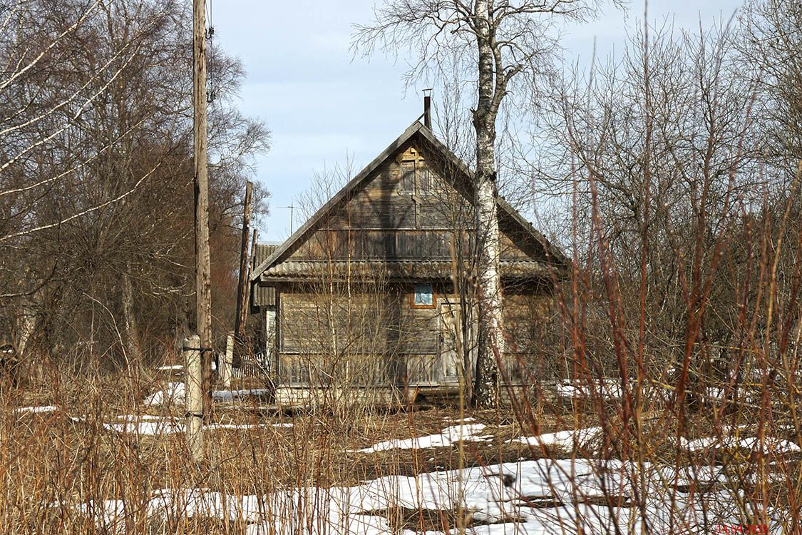 Церковь Ефрема и Аркадия Новоторжских, Терешкино (Торжокский район и г. Торжок, Тверская область). фасады