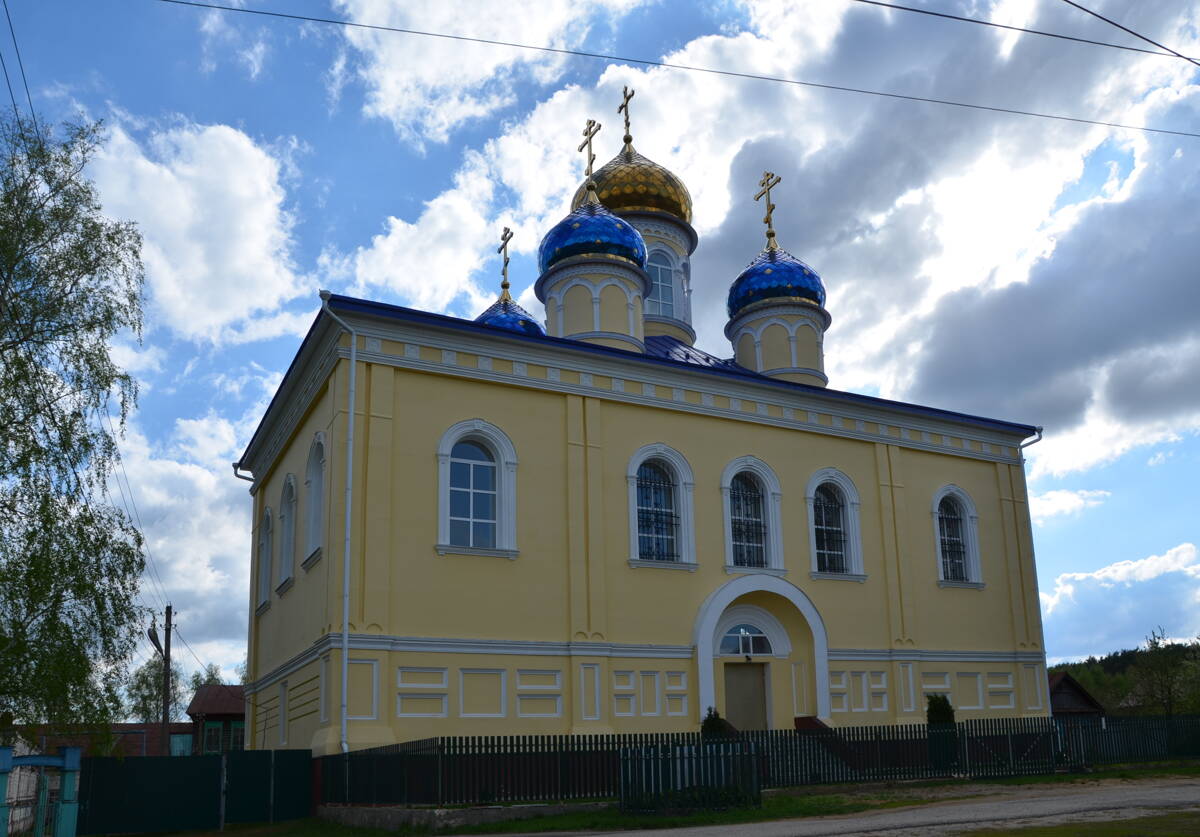 Церковь Владимирской иконы Божией Матери, Большой Вьяс (Лунинский район, Пензенская область). фасады, Северный фасад