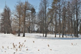 Пошнары. Церковь Рождества Христова