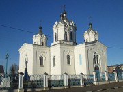 Хотимск. Троицы Живоначальной, собор