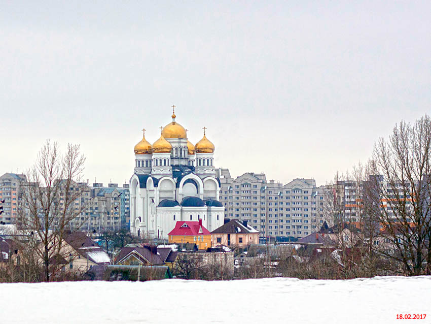 Собор Преображения Господня, Могилёв (Могилёв, город, Беларусь, Могилёвская область). общий вид в ландшафте