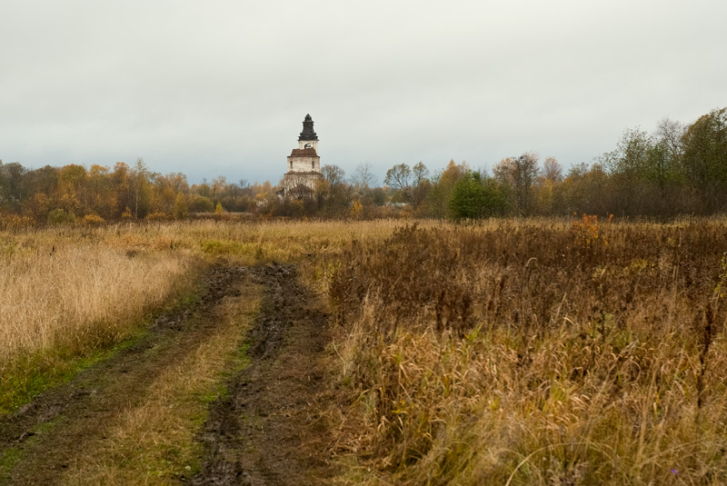 Церковь Троицы Живоначальной, Веретьево, урочище (Вещезерский погост) (Кирилловский район, Вологодская область). дополнительная информация, Вид со стороны Вещозера