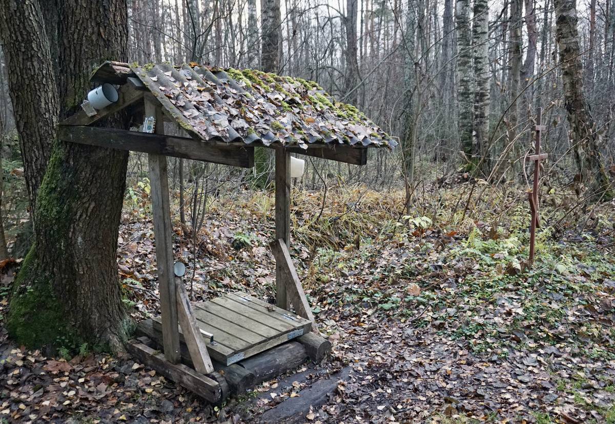 Часовня Никиты мученика при источнике, Новая (Орехово-Зуевский городской округ, Московская область). дополнительная информация