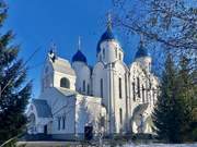 Кемерово. Иверской иконы Божией Матери, церковь