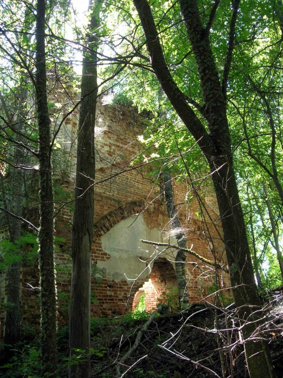 Церковь Рождества Пресвятой Богородицы, Пучининский погост, урочище (Вологодский район, Вологодская область). общий вид в ландшафте