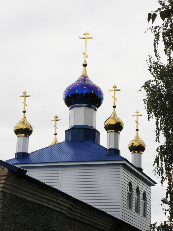 Церковь Введения во храм Пресвятой Богородицы, Тереньга (Тереньгульский район, Ульяновская область). архитектурные детали, Купола главного объема церкви