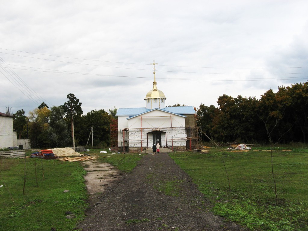 Церковь Иоанна Дамаскина, Подкуровка (Тереньгульский район, Ульяновская область). общий вид в ландшафте, Вид церкви с ул.Центральной села Подкуровки
