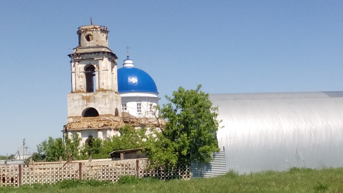 Церковь Казанской иконы Божией Матери, Елшанка (Ульяновский район, Ульяновская область). общий вид в ландшафте