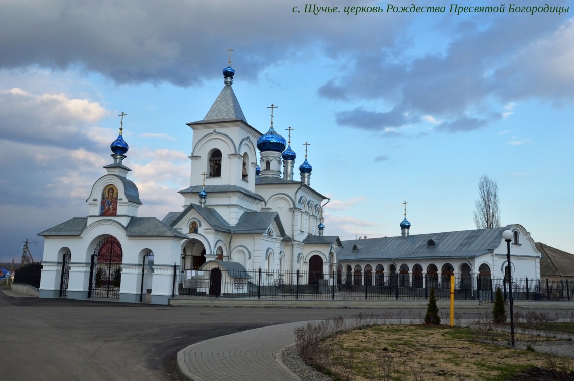Церковь Рождества Пресвятой Богородицы, Щучье (Лискинский район, Воронежская область). общий вид в ландшафте