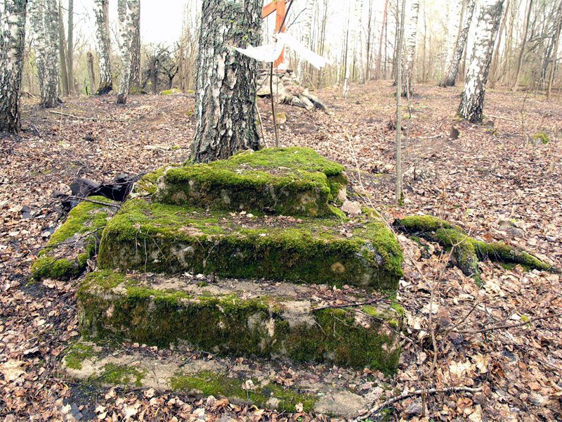 Церковь Николая Чудотворца, Прихабы (Себежский район, Псковская область). общий вид в ландшафте, От деревянной церкви остался фундамент и паперть