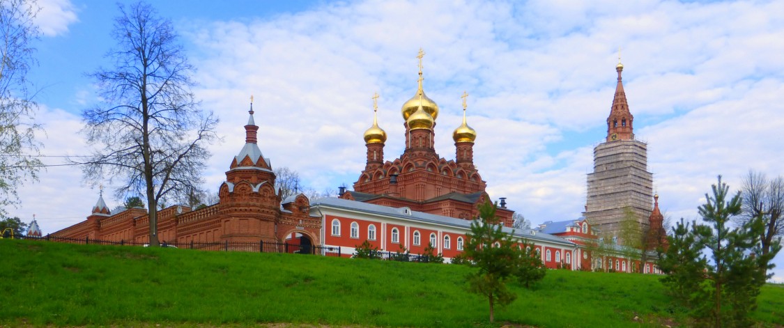 Черниговский скит, Сергиев Посад (Сергиево-Посадский городской округ, Московская область). общий вид в ландшафте