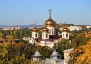 Кафедральный собор Спасителя, исцелившего расслабленного у Овчей купели (новый), Вид с аллеи парка "Цветник"<br>, Пятигорск, Пятигорск, город, Ставропольский край