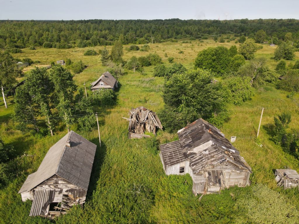 Часовня Николая Чудотворца, Вячково (Волховский район, Ленинградская область). общий вид в ландшафте