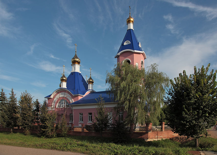 Барятино. Церковь Николая Чудотворца. общий вид в ландшафте