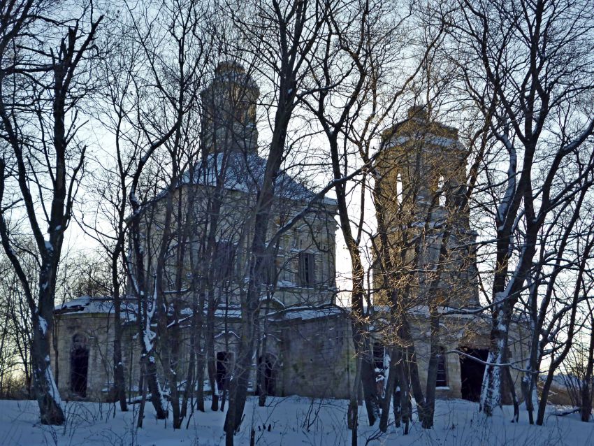 Церковь Толгской иконы Божией Матери, Бойково (Старицкий район, Тверская область). фасады, Вид сквозь заросли с северо-востока