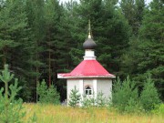 Часовня Иоакима и Анны, вид с юга<br>, Пянда, деревня, Виноградовский район, Архангельская область