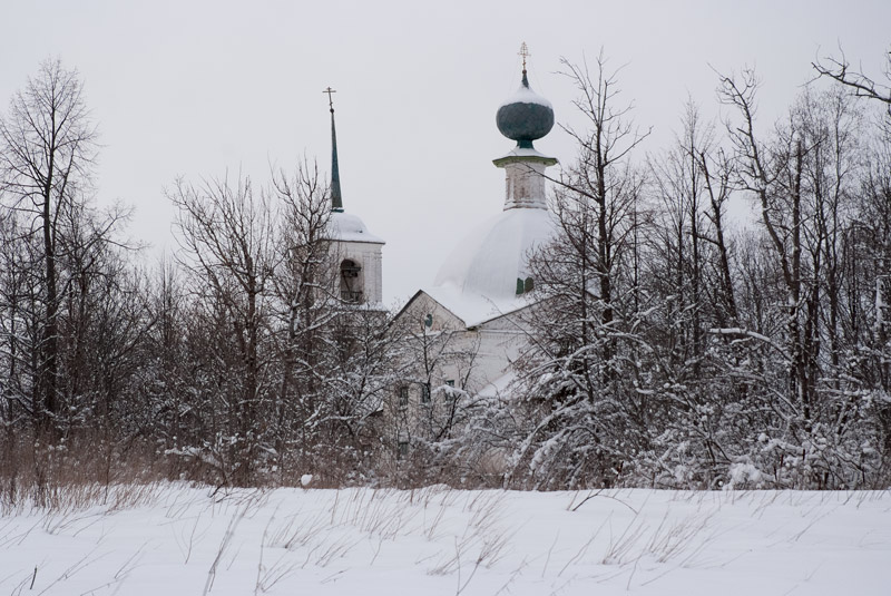 Трофимовское, урочище. Церковь Благовещения Пресвятой Богородицы. общий вид в ландшафте